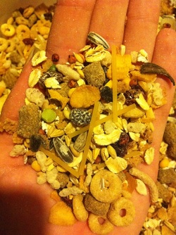 Image of a Homemade Dry Mix